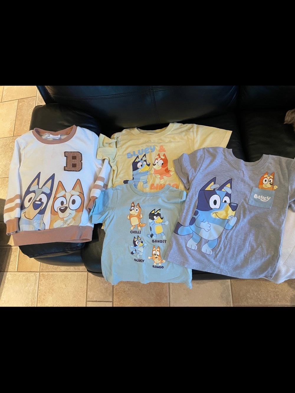 Kids' Bluey Tee and Sweatshirt Bundle
